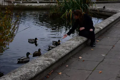 DSC_0545 (Large).JPG